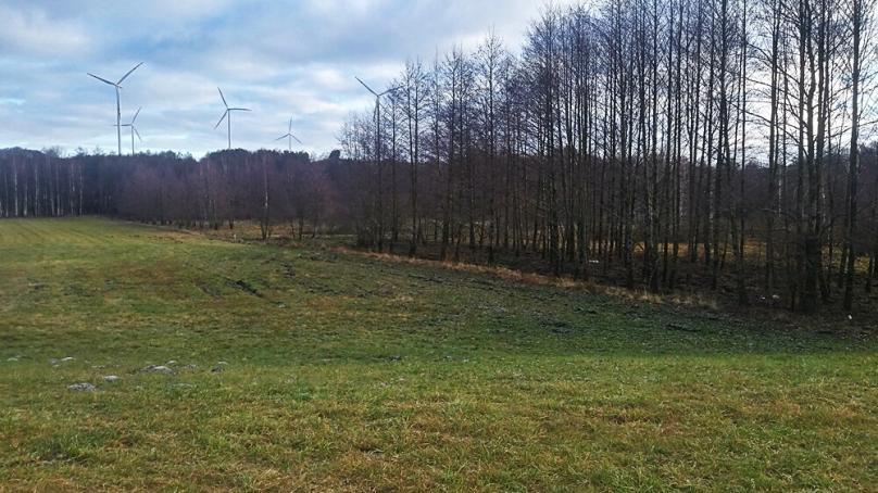 Działka 2.4 ha rolno inwestycyjna Osowa gm Suwałki